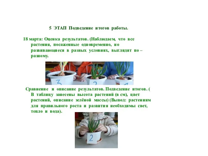 5 ЭТАП Подведение итогов работы. 18 марта: Оценка результатов. (Наблюдаем, что