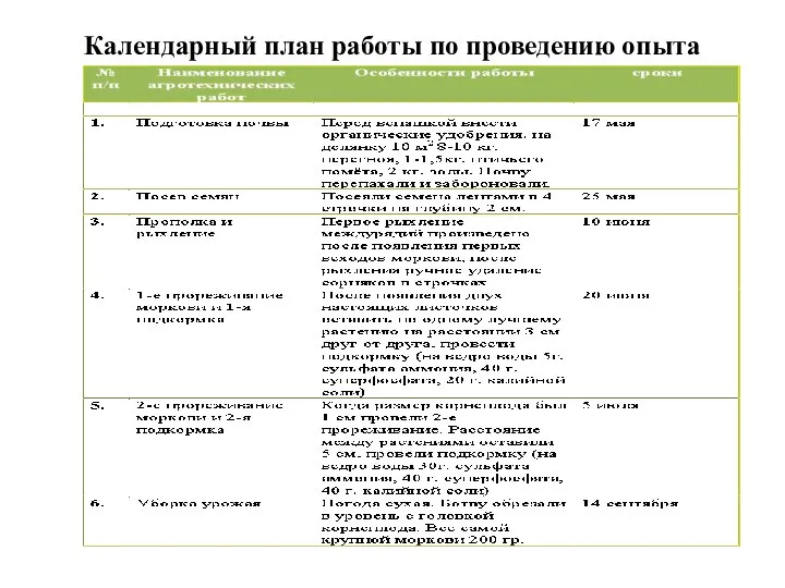 Календарный план работы по проведению опыта