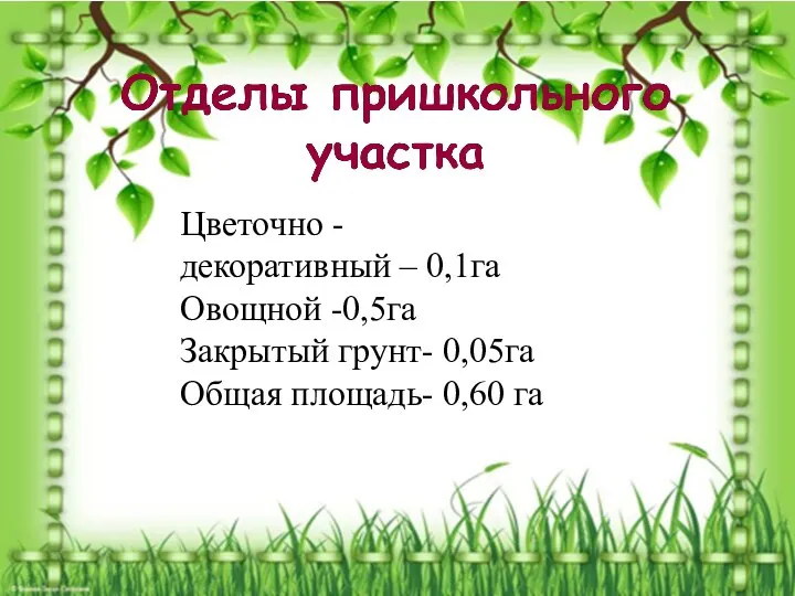 Цветочно - декоративный – 0,1га Овощной -0,5га Закрытый грунт- 0,05га Общая площадь- 0,60 га