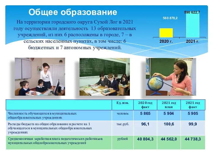 На территории городского округа Сухой Лог в 2021 году осуществляли деятельность