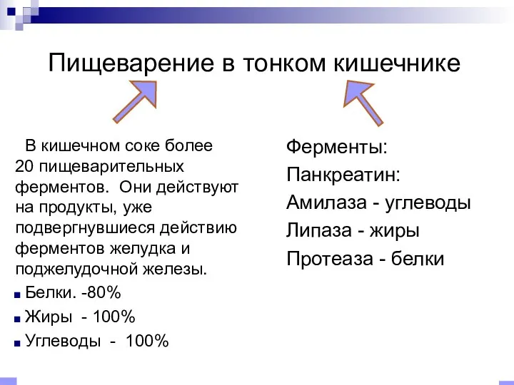 Пищеварение в тонком кишечнике В кишечном соке более 20 пищеварительных ферментов.