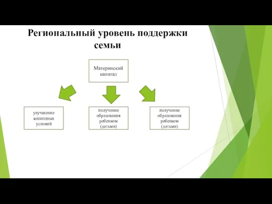 Региональный уровень поддержки семьи Материнский капитал улучшение жилищных условий получение образования