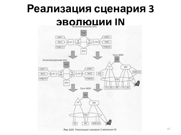 Реализация сценария 3 эволюции IN