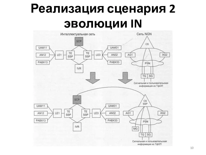 Реализация сценария 2 эволюции IN