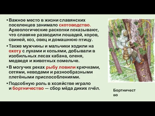 Важное место в жизни славянских поселенцев занимало скотоводство. Археологические раскопки показывают,