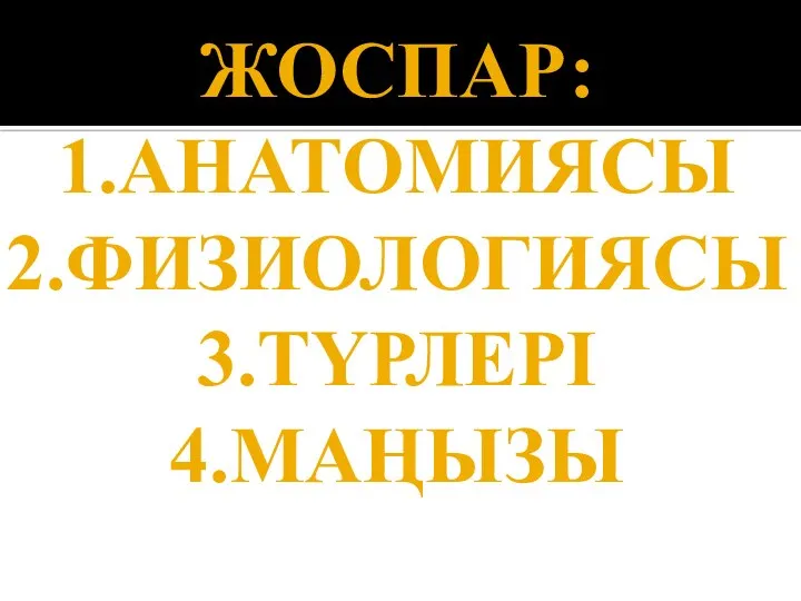 ЖОСПАР: 1.АНАТОМИЯСЫ 2.ФИЗИОЛОГИЯСЫ 3.ТҮРЛЕРІ 4.МАҢЫЗЫ