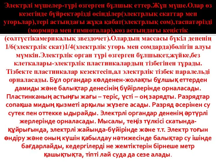 Электрлі мүшелер-түрі өзгерген бұлшық еттер.Жұп мүше.Олар өз кезегінде бүйректәрізді өсінділер(электрлық скаттар