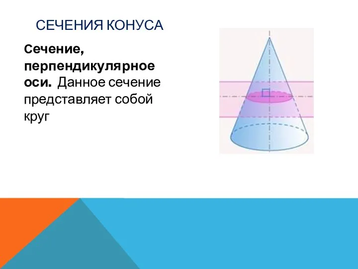 СЕЧЕНИЯ КОНУСА Сечение, перпендикулярное оси. Данное сечение представляет собой круг