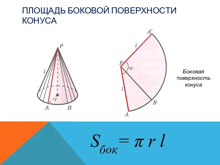 ПЛОЩАДЬ БОКОВОЙ ПОВЕРХНОСТИ КОНУСА Sбок= π r l Боковая поверхность конуса