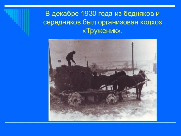 В декабре 1930 года из бедняков и середняков был организован колхоз «Труженик».
