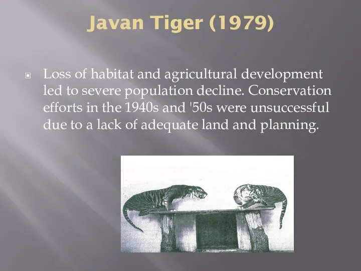 Javan Tiger (1979) Loss of habitat and agricultural development led to