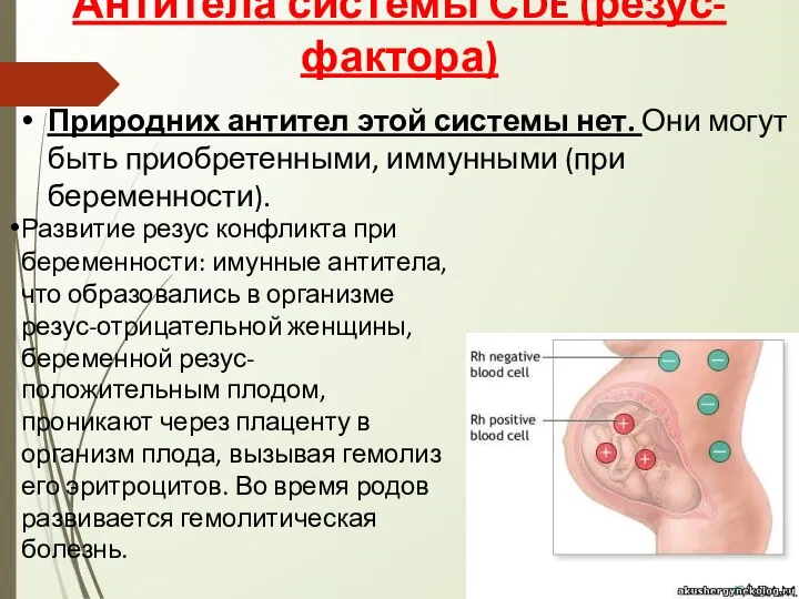 Антитела системы СDE (резус-фактора) Природних антител этой системы нет. Они могут