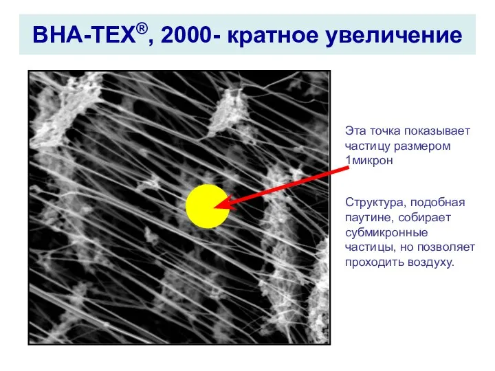 BHA-TEX®, 2000- кратное увеличение Эта точка показывает частицу размером 1микрон Структура,