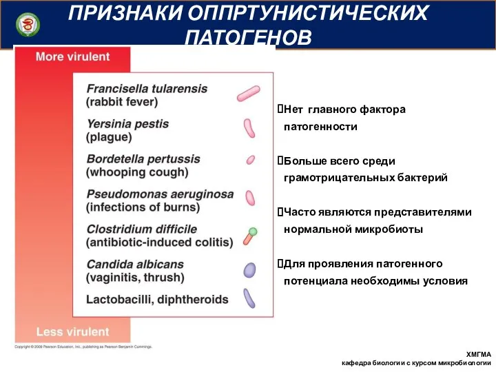 ПРИЗНАКИ ОППРТУНИСТИЧЕСКИХ ПАТОГЕНОВ ХМГМА кафедра биологии с курсом микробиологии Нет главного