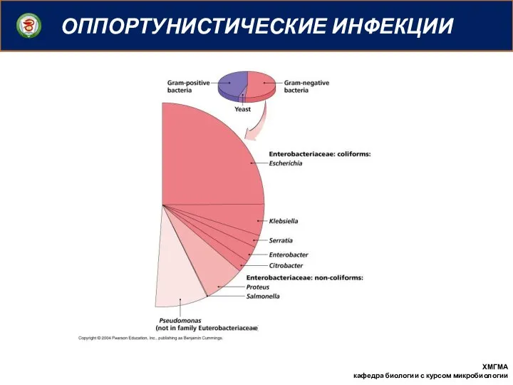 ОППОРТУНИСТИЧЕСКИЕ ИНФЕКЦИИ ХМГМА кафедра биологии с курсом микробиологии