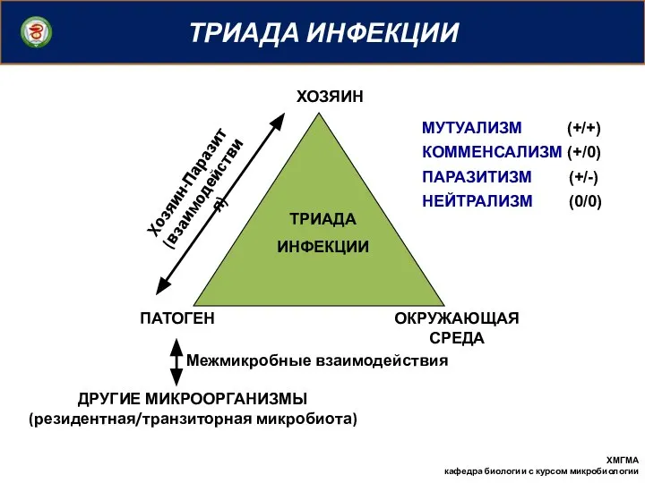 ТРИАДА ИНФЕКЦИИ ПАТОГЕН ОКРУЖАЮЩАЯ СРЕДА ХОЗЯИН ТРИАДА ИНФЕКЦИИ Хозяин-Паразит (взаимодействия) ДРУГИЕ