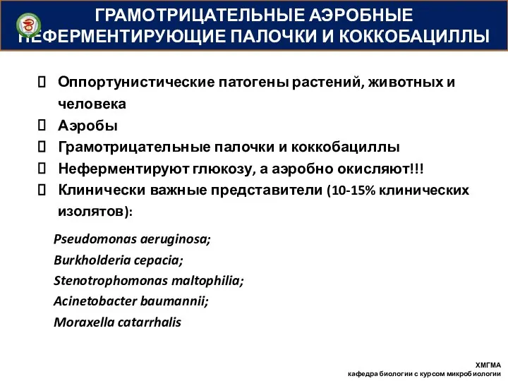 ГРАМОТРИЦАТЕЛЬНЫЕ АЭРОБНЫЕ НЕФЕРМЕНТИРУЮЩИЕ ПАЛОЧКИ И КОККОБАЦИЛЛЫ Оппортунистические патогены растений, животных и