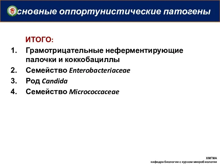 Основные оппортунистические патогены ИТОГО: Грамотрицательные неферментирующие палочки и коккобациллы Семейство Enterobacteriaceae