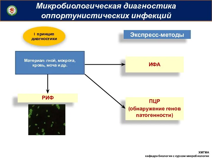 Микробиологическая диагностика оппортунистических инфекций ХМГМА кафедра биологии с курсом микробиологии Материал: