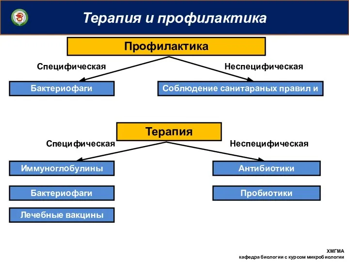 Терапия и профилактика ХМГМА кафедра биологии с курсом микробиологии Специфическая Неспецифическая