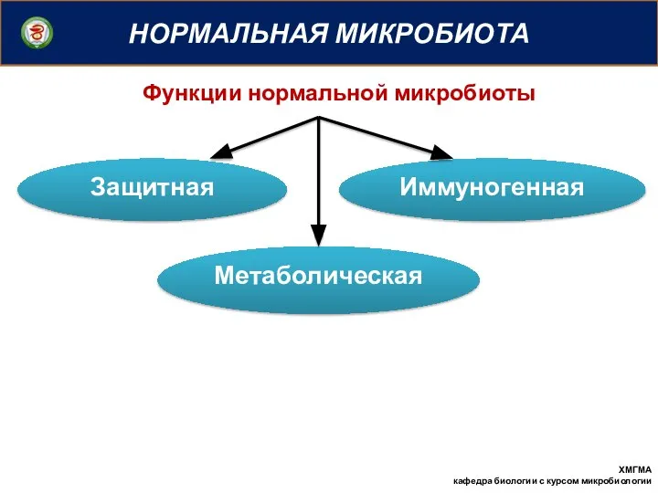 НОРМАЛЬНАЯ МИКРОБИОТА ХМГМА кафедра биологии с курсом микробиологии Функции нормальной микробиоты Защитная Иммуногенная Метаболическая