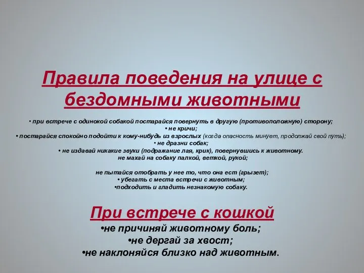 Правила поведения на улице с бездомными животными при встрече с одинокой