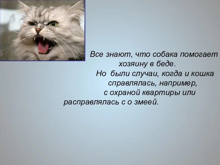 Все знают, что собака помогает хозяину в беде. Но были случаи,