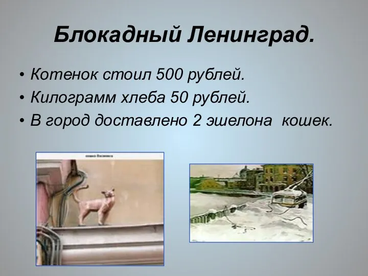 Блокадный Ленинград. Котенок стоил 500 рублей. Килограмм хлеба 50 рублей. В город доставлено 2 эшелона кошек.