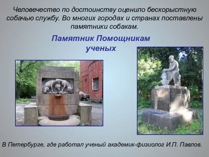 Человечество по достоинству оценило бескорыстную собачью службу. Во многих городах и