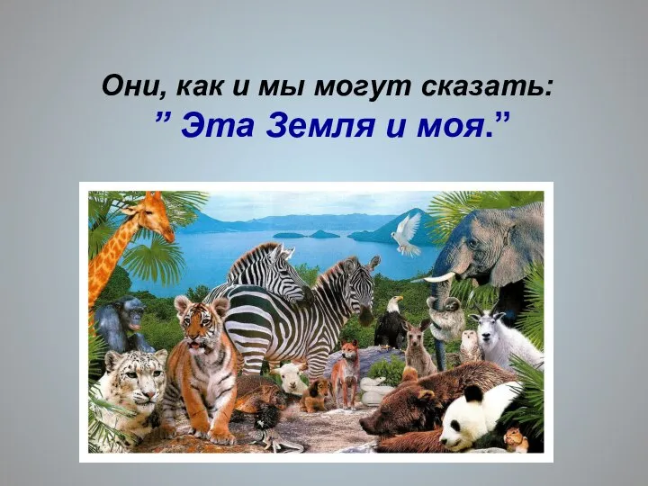 Они, как и мы могут сказать: ” Эта Земля и моя.”