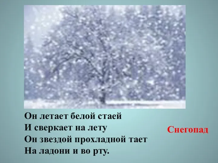 Он летает белой стаей И сверкает на лету Он звездой прохладной