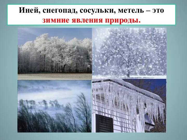 Иней, снегопад, сосульки, метель – это зимние явления природы.