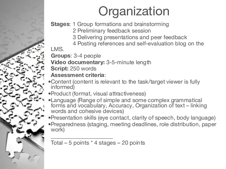 Organization Stages: 1 Group formations and brainstorming 2 Preliminary feedback session