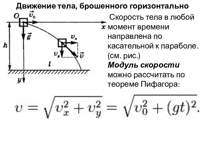 Движение тела, брошенного горизонтально Скорость тела в любой момент времени направлена