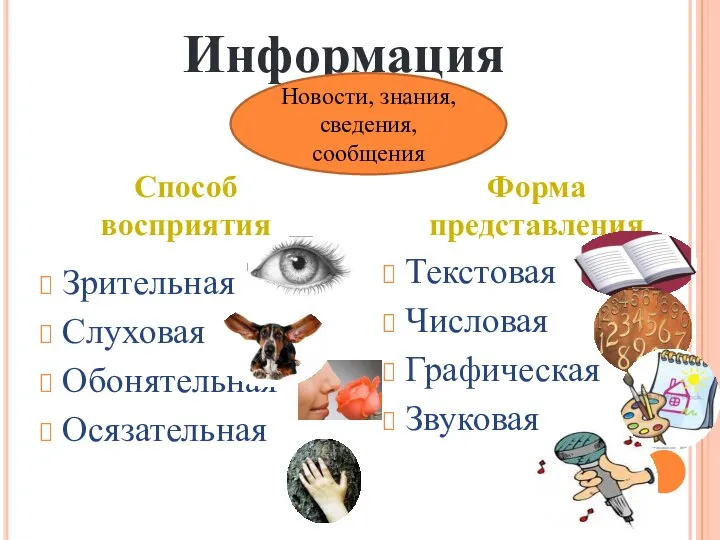 Зрительная Слуховая Обонятельная Осязательная Текстовая Числовая Графическая Звуковая Информация Новости, знания,