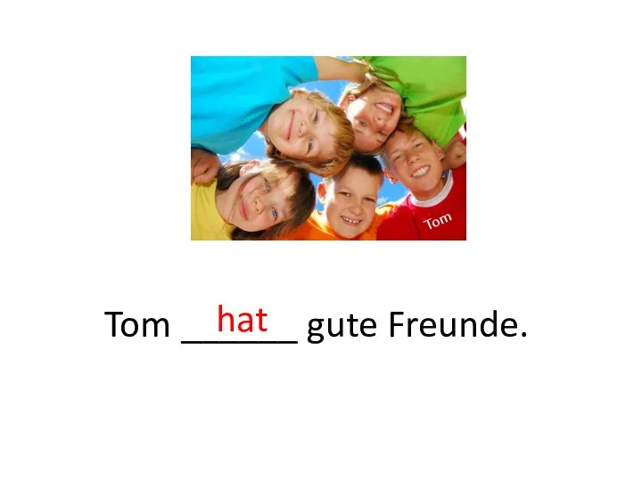 hat Tom ______ gute Freunde. Tom