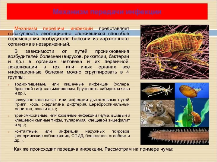 Механизм передачи инфекции представляет совокупность эволюционно сложившихся способов перемещения возбудителя болезни