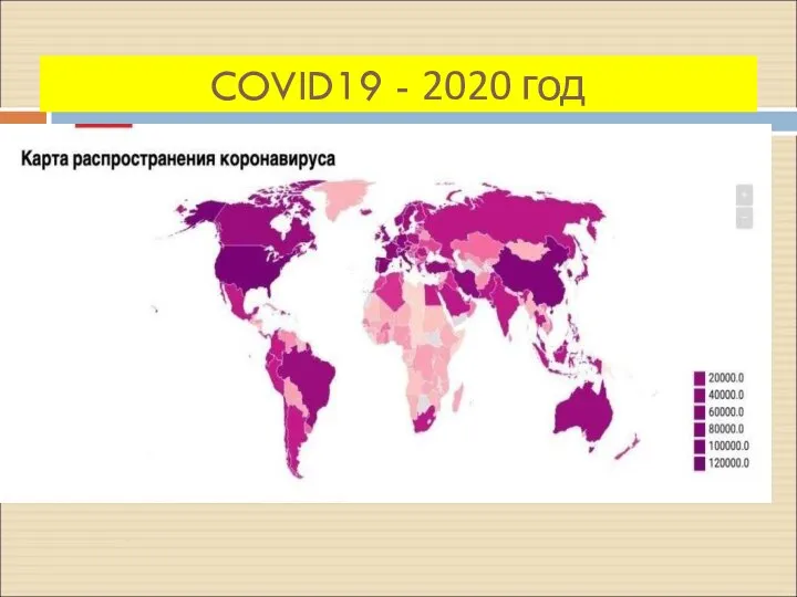 COVID19 - 2020 год
