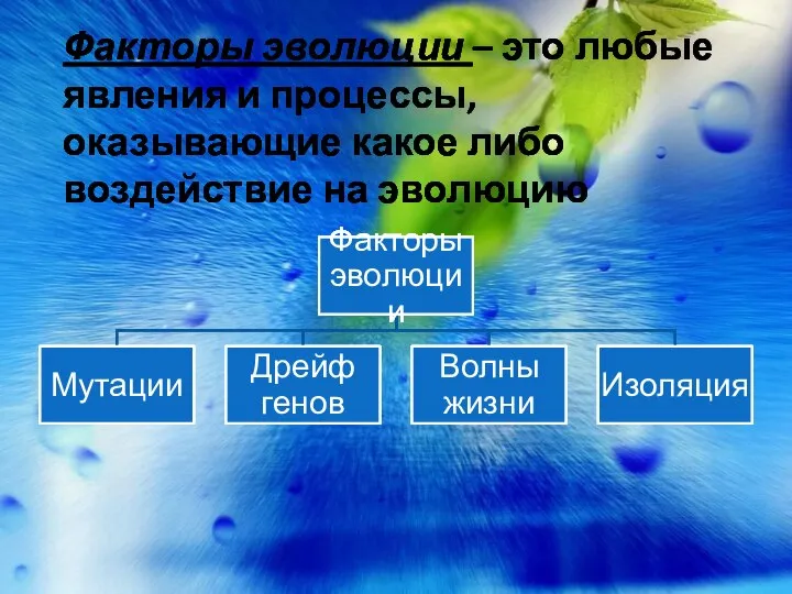 Факторы эволюции – это любые явления и процессы, оказывающие какое либо воздействие на эволюцию