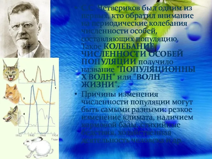 С.С. Четвериков был одним из первых, кто обратил внимание на периодические