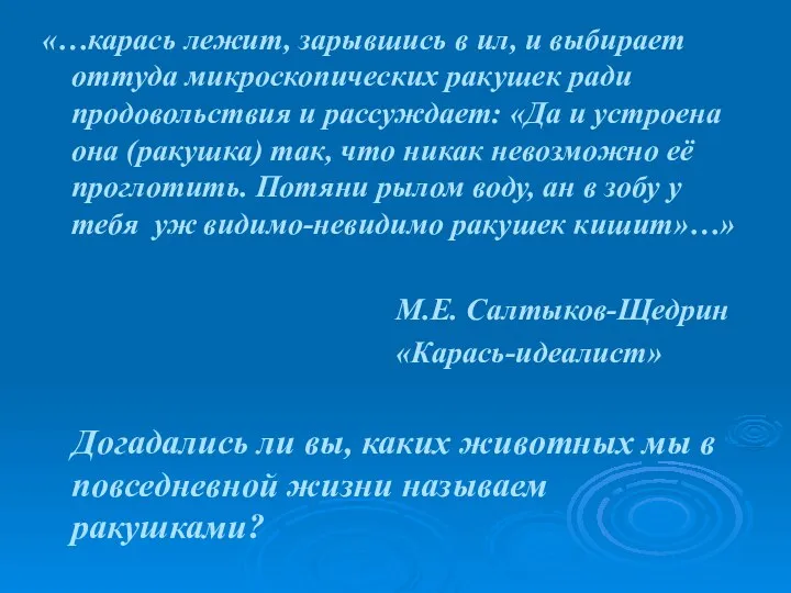 «…карась лежит, зарывшись в ил, и выбирает оттуда микроскопических ракушек ради