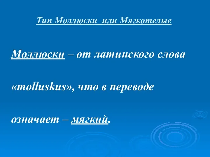 Тип Моллюски или Мягкотелые Моллюски – от латинского слова «molluskus», что в переводе означает – мягкий.