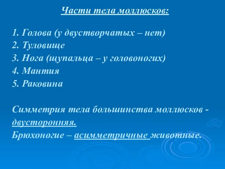 Части тела моллюсков: 1. Голова (у двустворчатых – нет) 2. Туловище