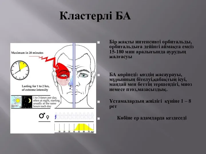 Кластерлі БА Бір жақты интенсивті орбитальды,орбитальдыға дейінгі аймақта емсіз 15-180 мин