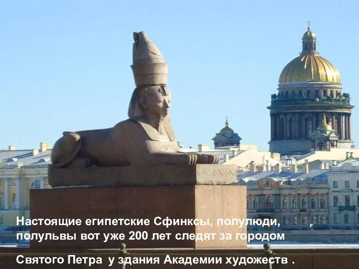 Настоящие египетские Сфинксы, полулюди, полульвы вот уже 200 лет следят за