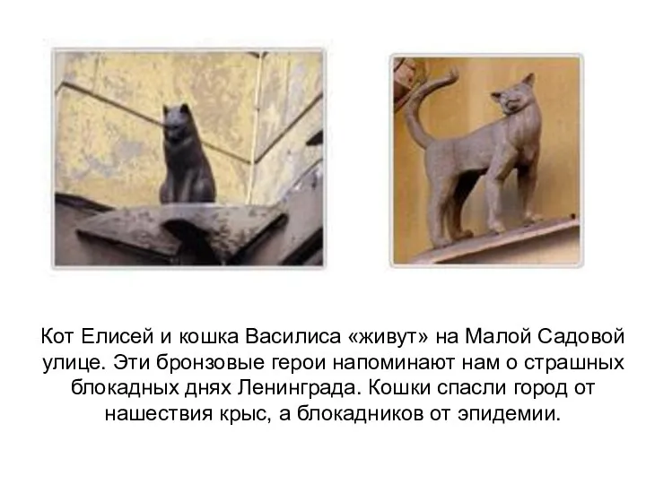 Кот Елисей и кошка Василиса «живут» на Малой Садовой улице. Эти