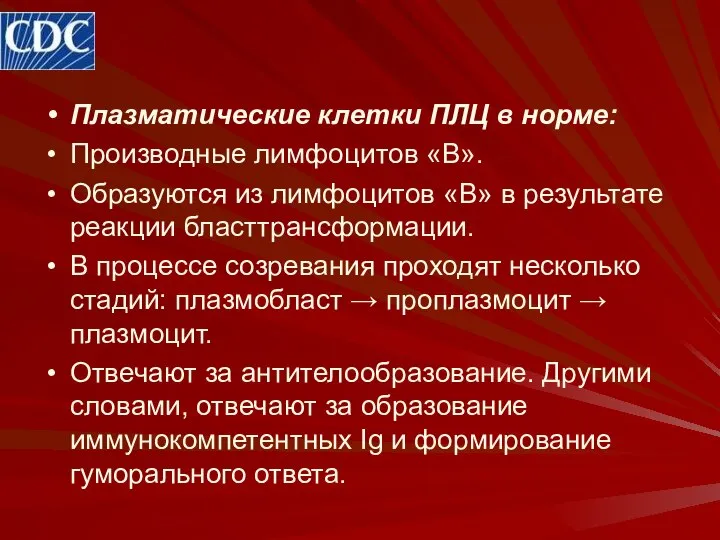 Плазматические клетки ПЛЦ в норме: Производные лимфоцитов «В». Образуются из лимфоцитов