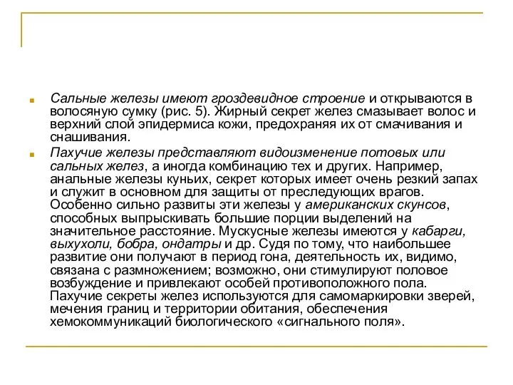 Сальные железы имеют гроздевидное строение и открываются в волосяную сумку (рис.