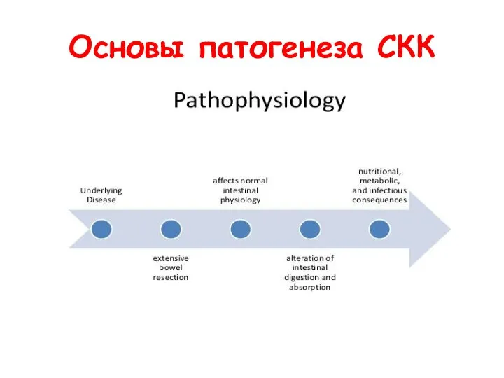 Основы патогенеза СКК