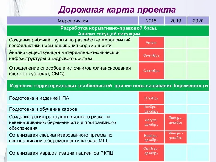 Дорожная карта проекта